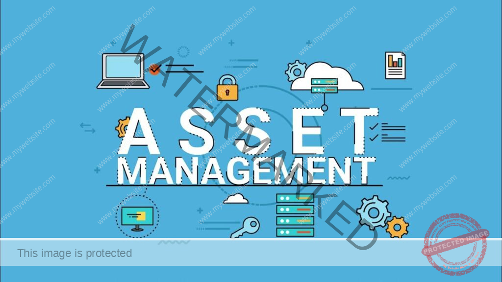 Asset Management