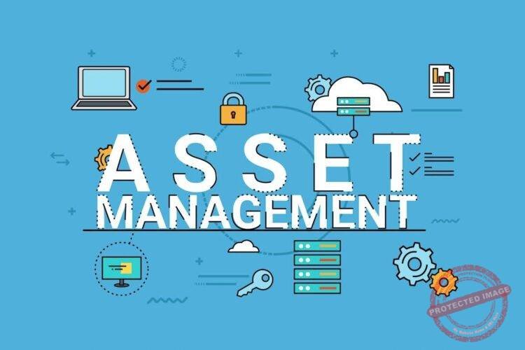 Asset Management