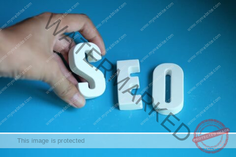 Seo Consultant