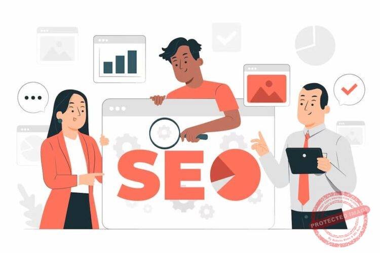 SEO Consultancy