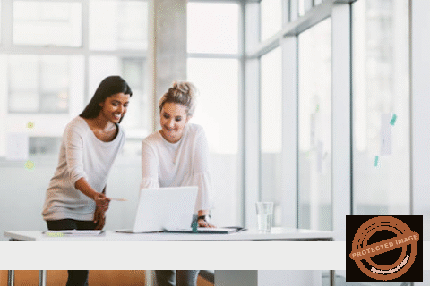 Customer Insights