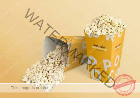 Popcorn Boxes