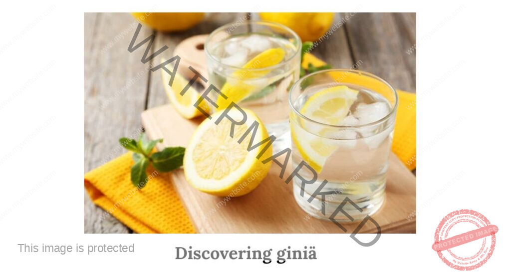 Discovering giniä