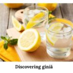 Discovering giniä
