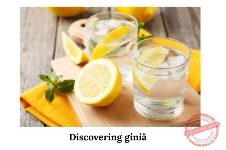 Discovering giniä