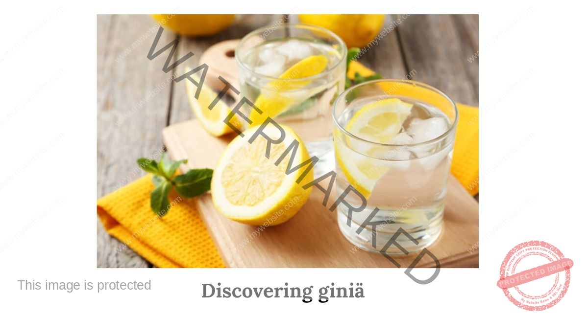 Discovering giniä