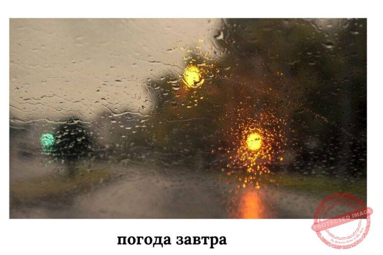 погода завтра