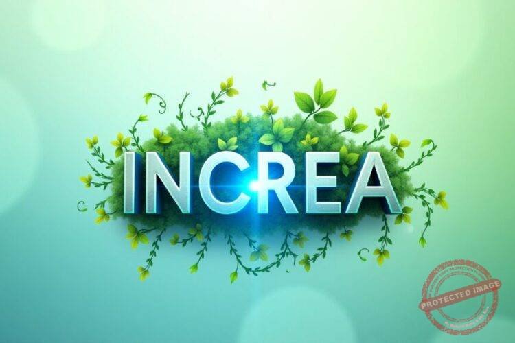 i n c r e a