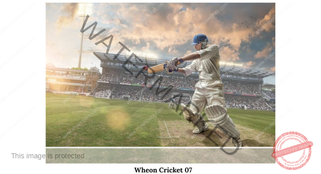 Wheon Cricket 07