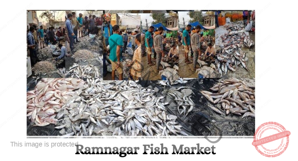 Ramnagar Fish Market