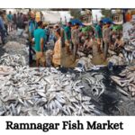 Ramnagar Fish Market