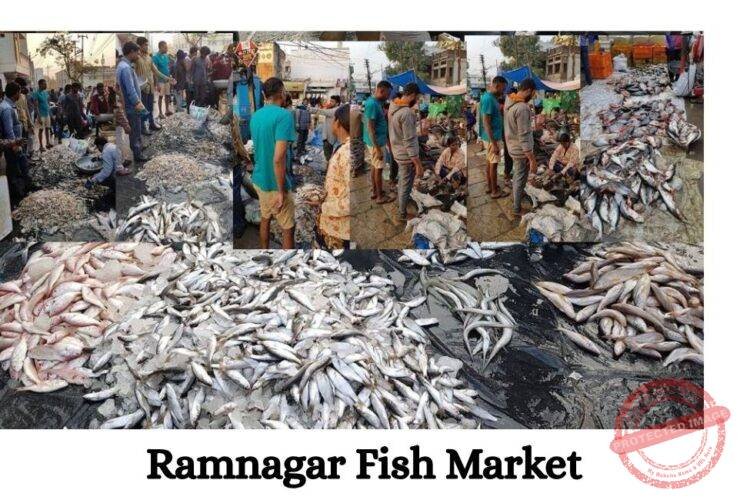Ramnagar Fish Market