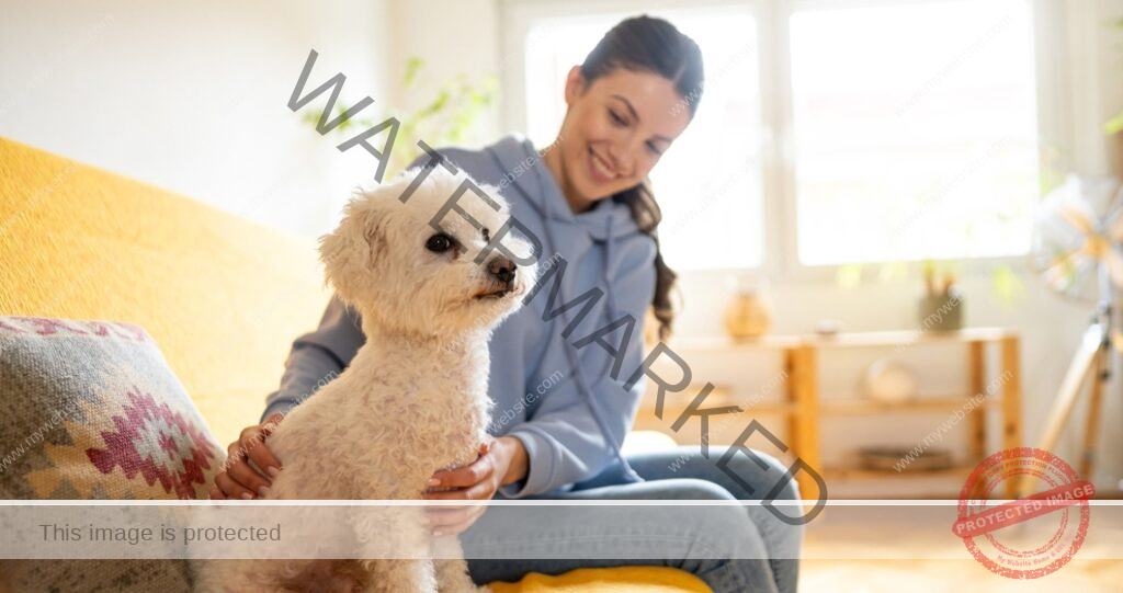 Pet