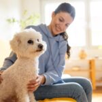 Pet