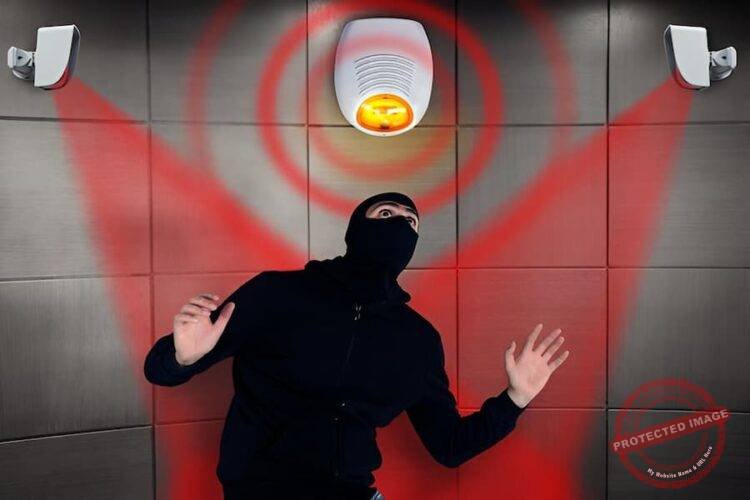 Intruder Alarms for Crime Control