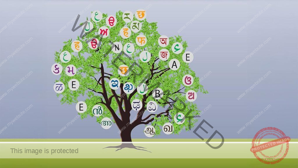 Education