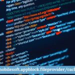 content://cz.mobilesoft.appblock.fileprovider/cache/blank.html