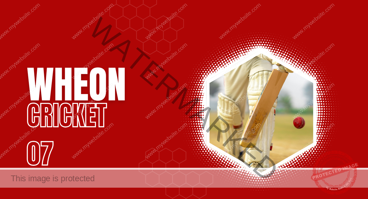 Wheon Cricket 07