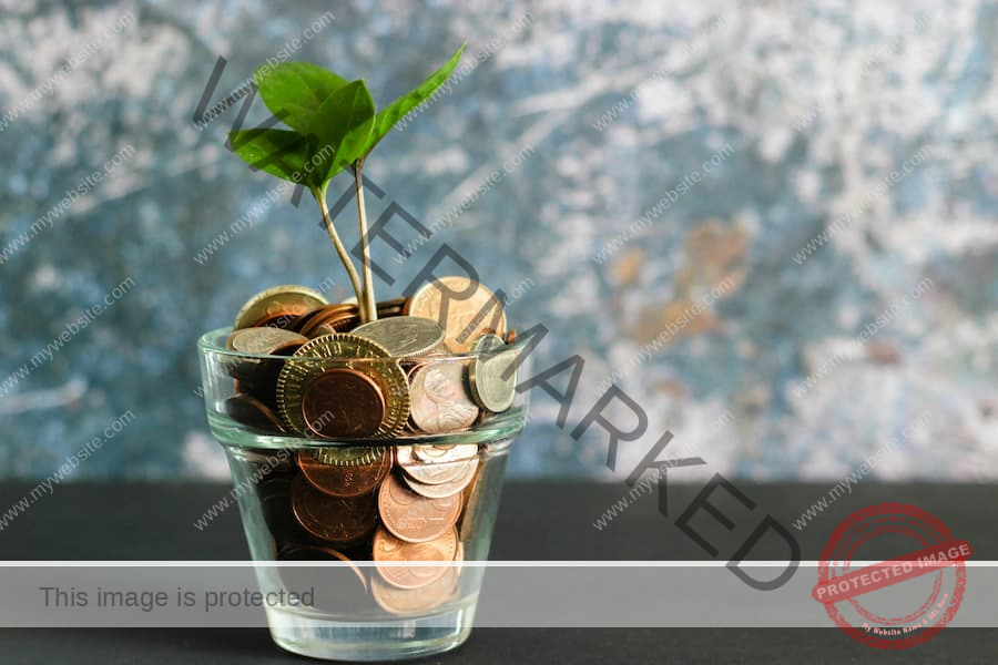 Money Conscious