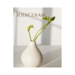 Sodiceram